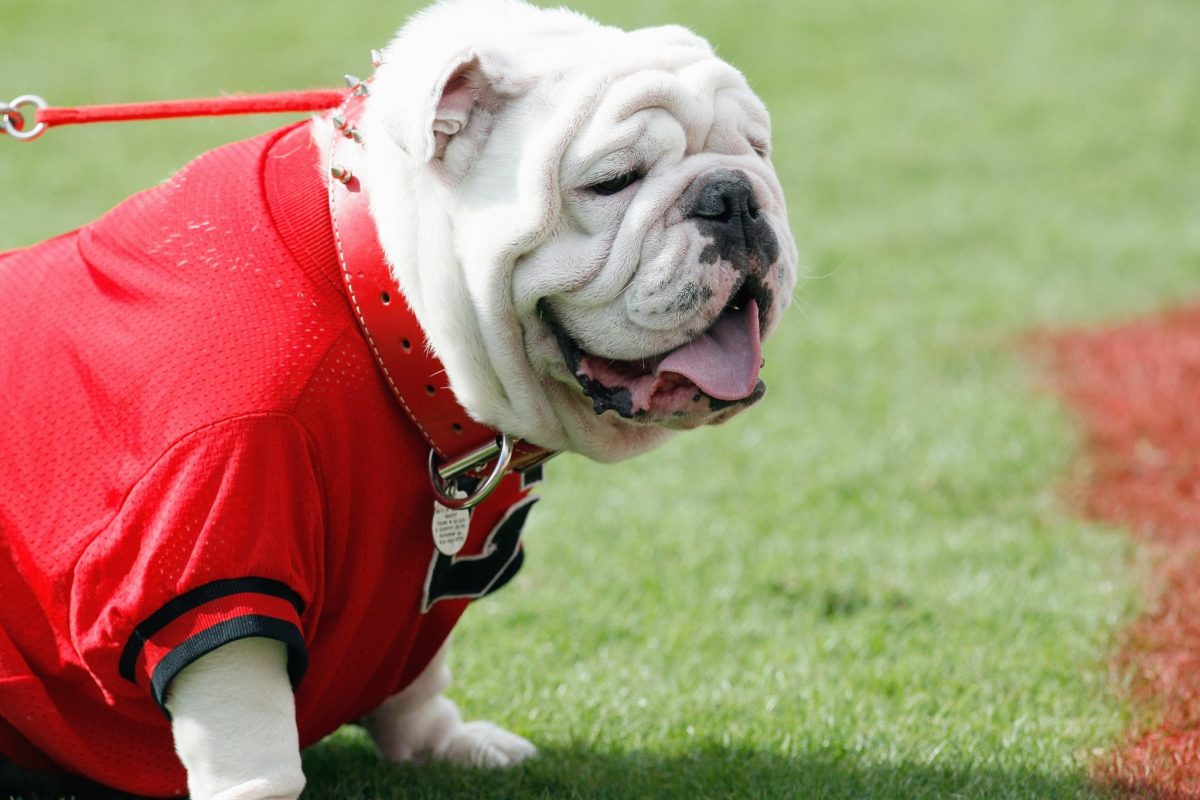 Georgia's mascot hangs on the field during a game.