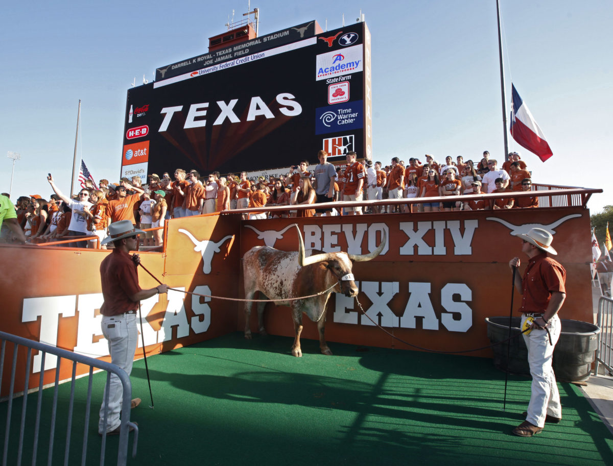 The Texas Longhorns mascot at a football game.
