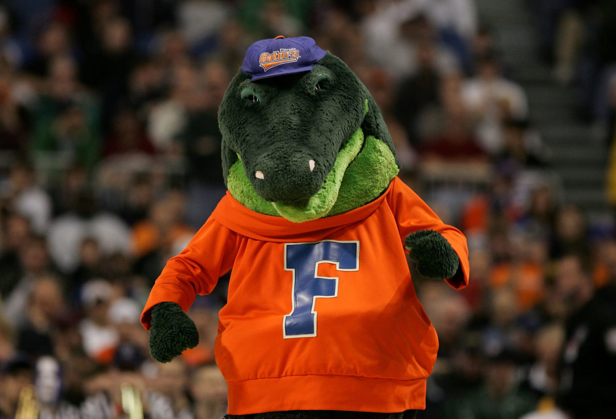 A closeup of the Florida Gators mascot