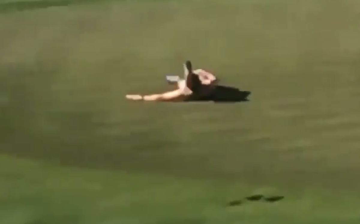 A golf streaker passed out on green.