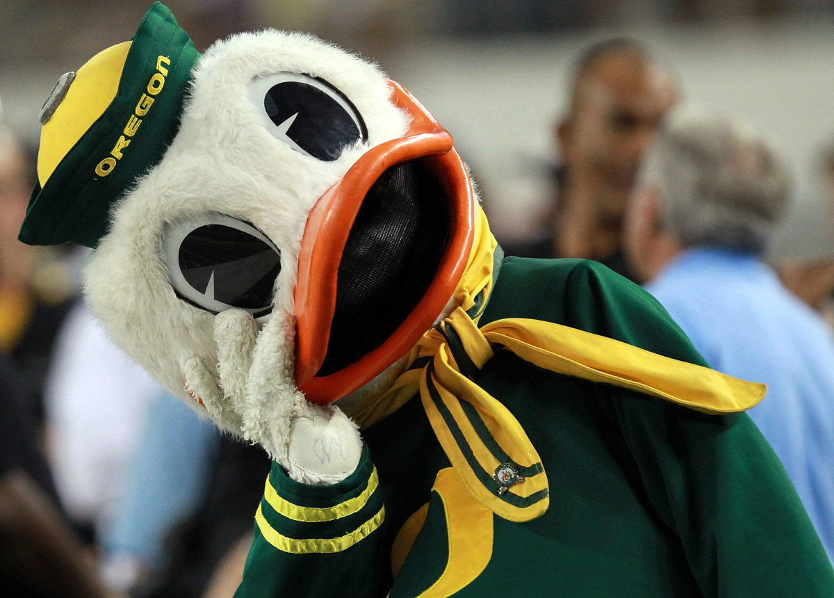 Oregon's mascot staring at something on the sideline.