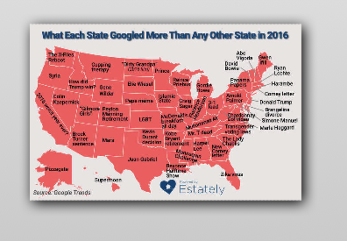 What each state googled more than others chart.