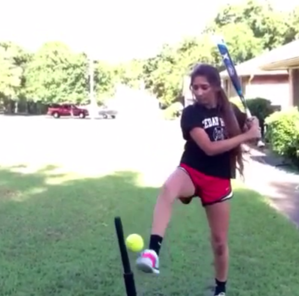 Girl does bat tricks in her backyard.