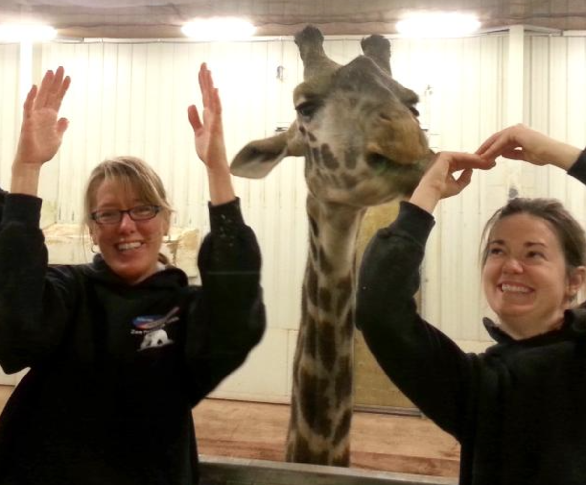 Columbus zoo takes O-H-I-O pic with giraffe.