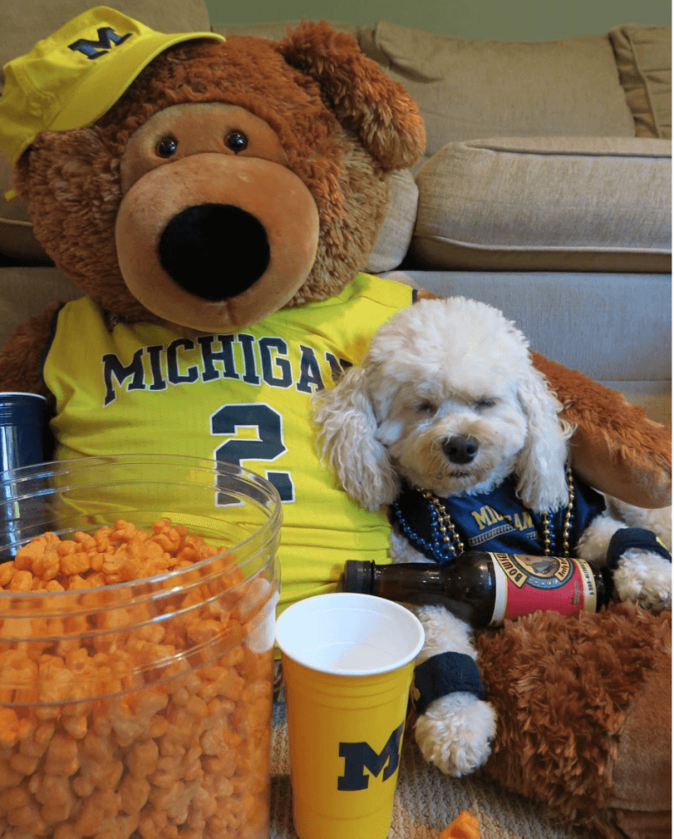 A dog poses with an abundance of Michigan gear in a Michigan jersey.