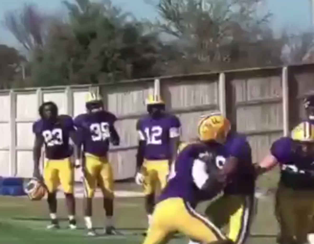 Video LSU Fan Creates Video That Shows Huge Difference Between LSU