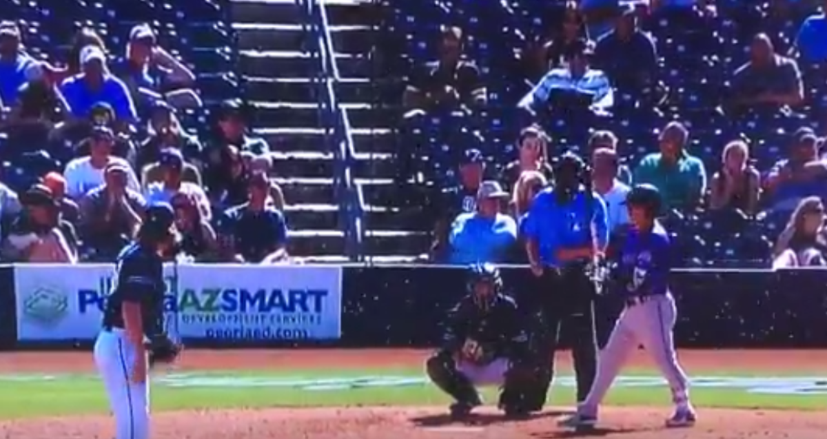 Pitcher gets ready to throw to batter through a swarm of bees.