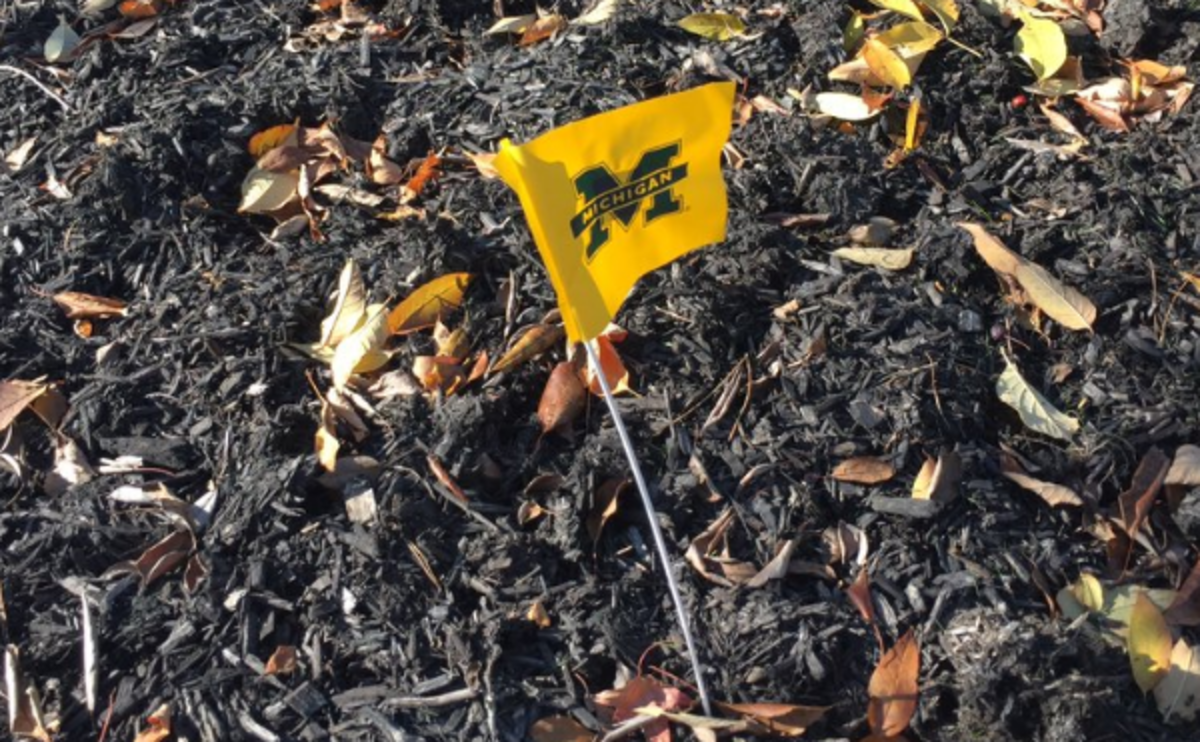 A Michigan flag planted in Urban Meyer's lawn.