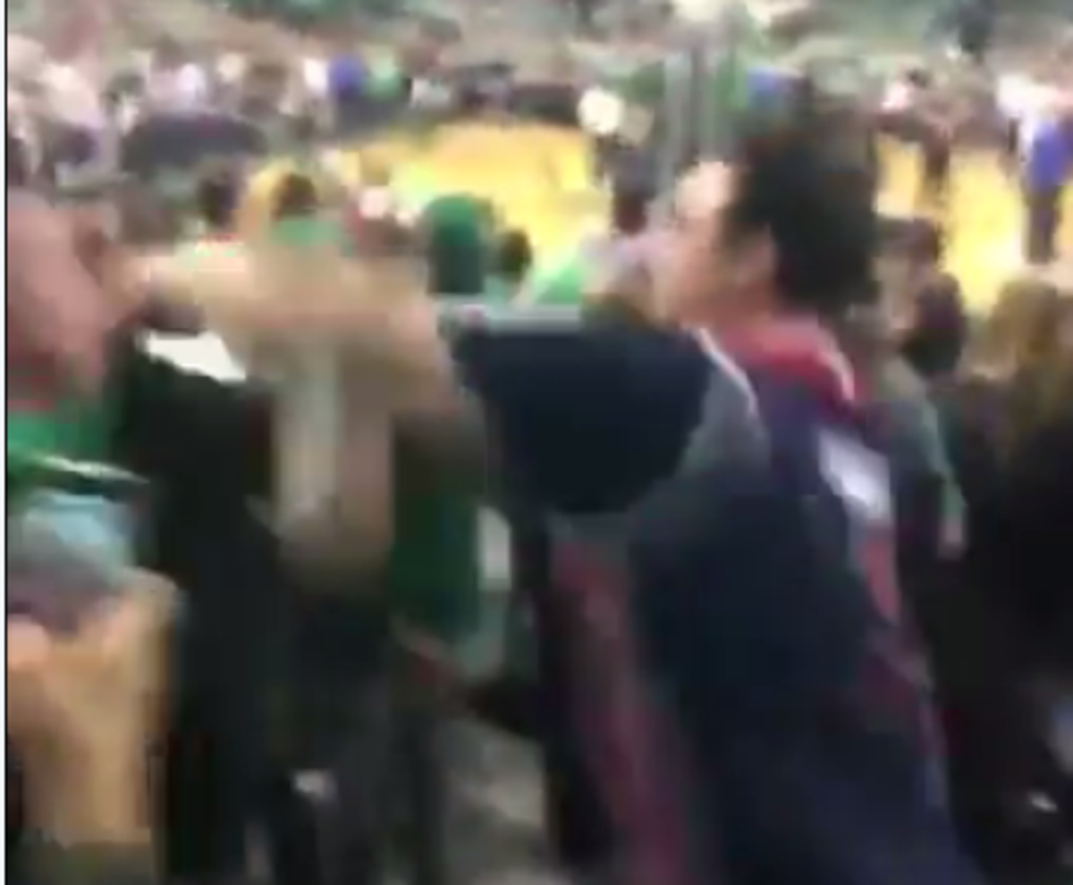 A Wizards fan punches a Celtics fan.