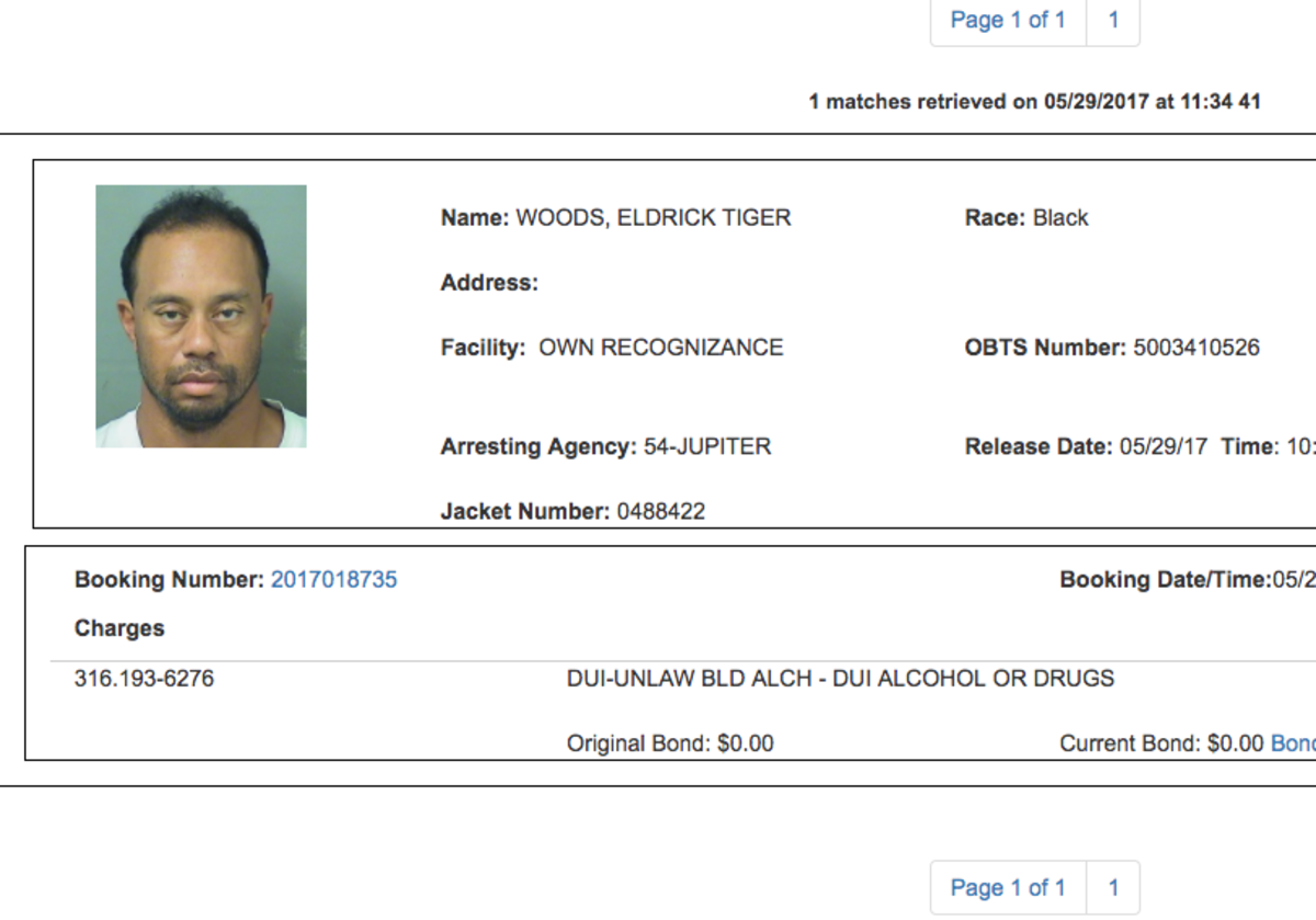 A photo of Tiger Woods' arrest record.
