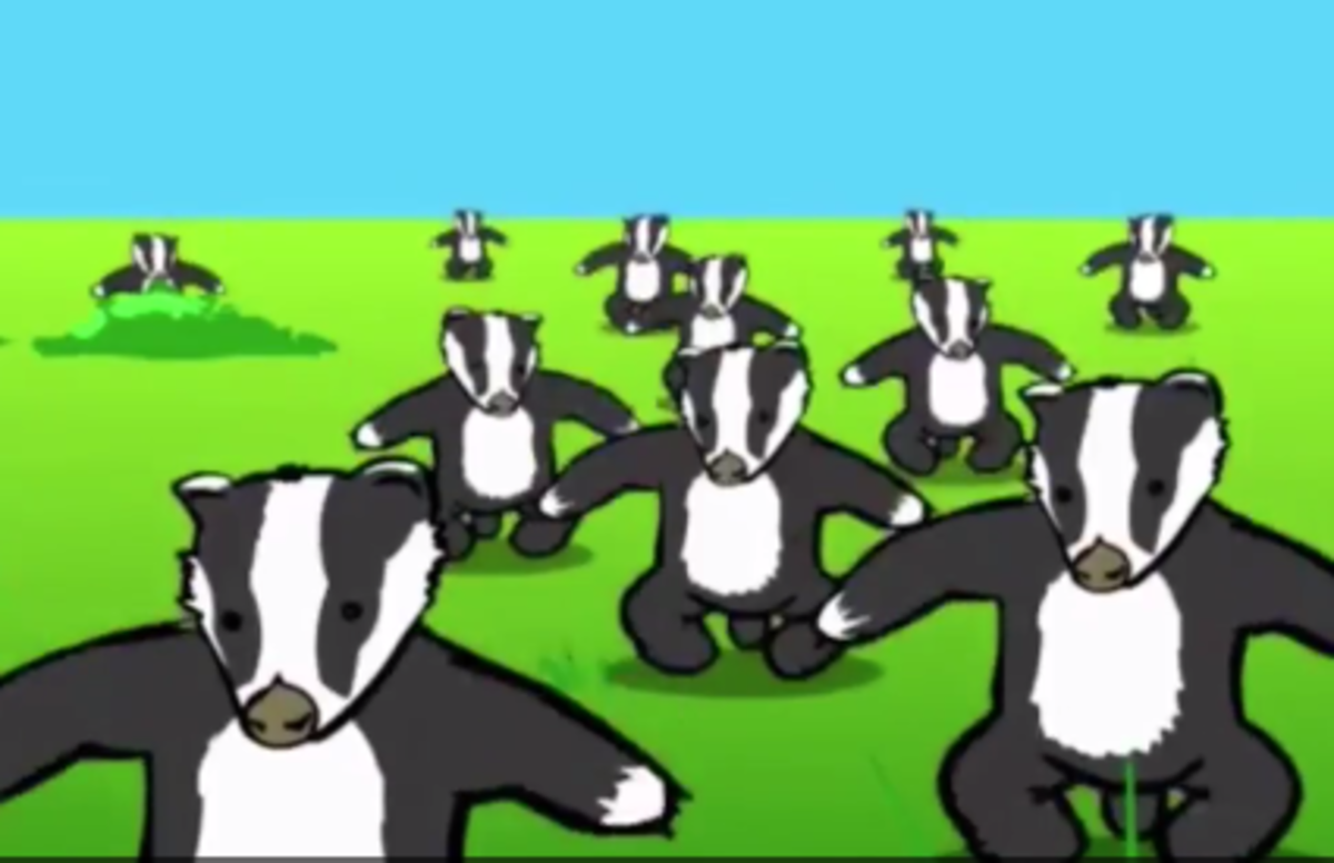 Early "Badgers Badgers Badgers" viral video.