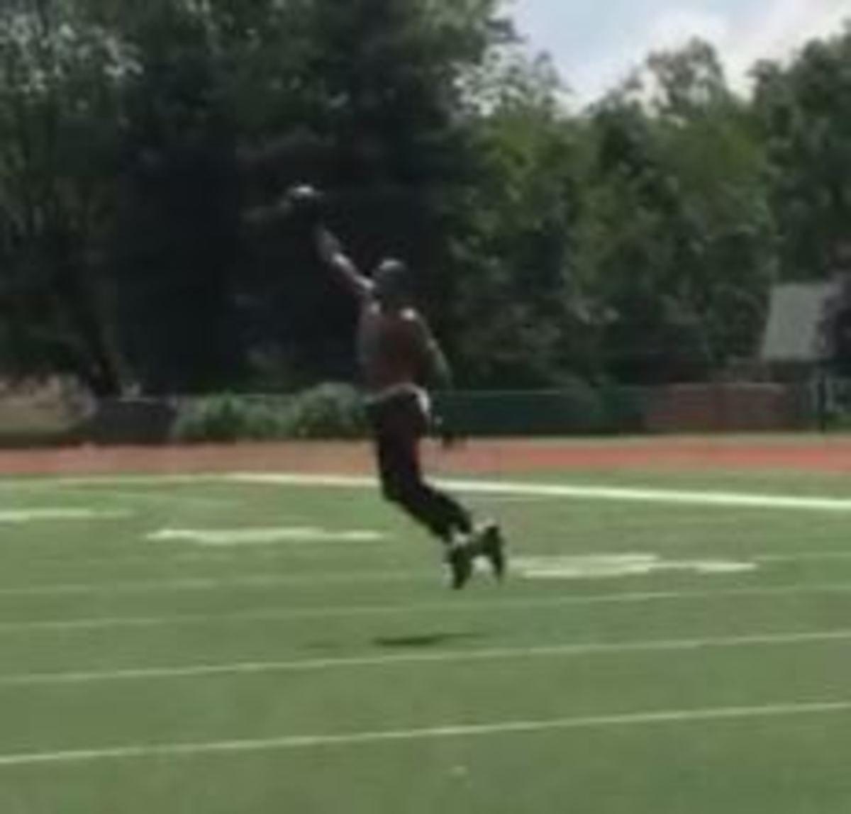 Wide receiver Terrelle Pryor making a one handed catch.