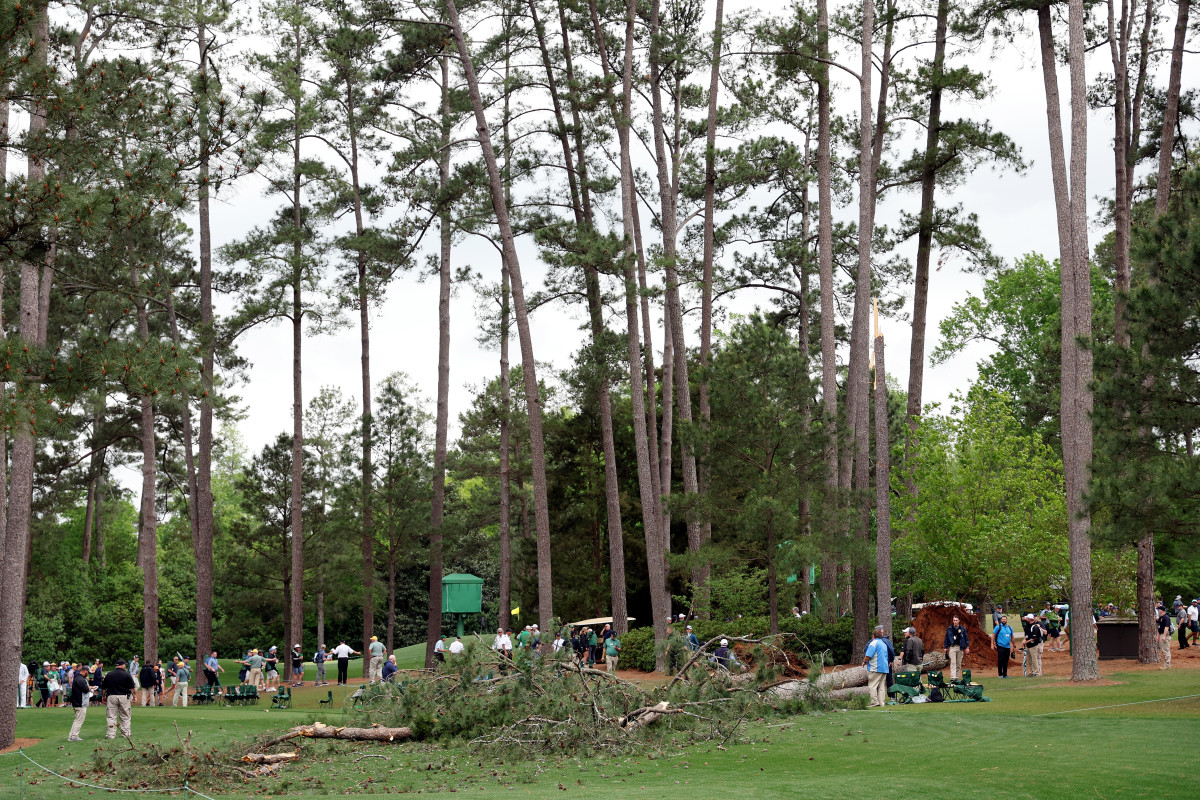 Look Tree Fell At The Masters This Afternoon The Spun What's