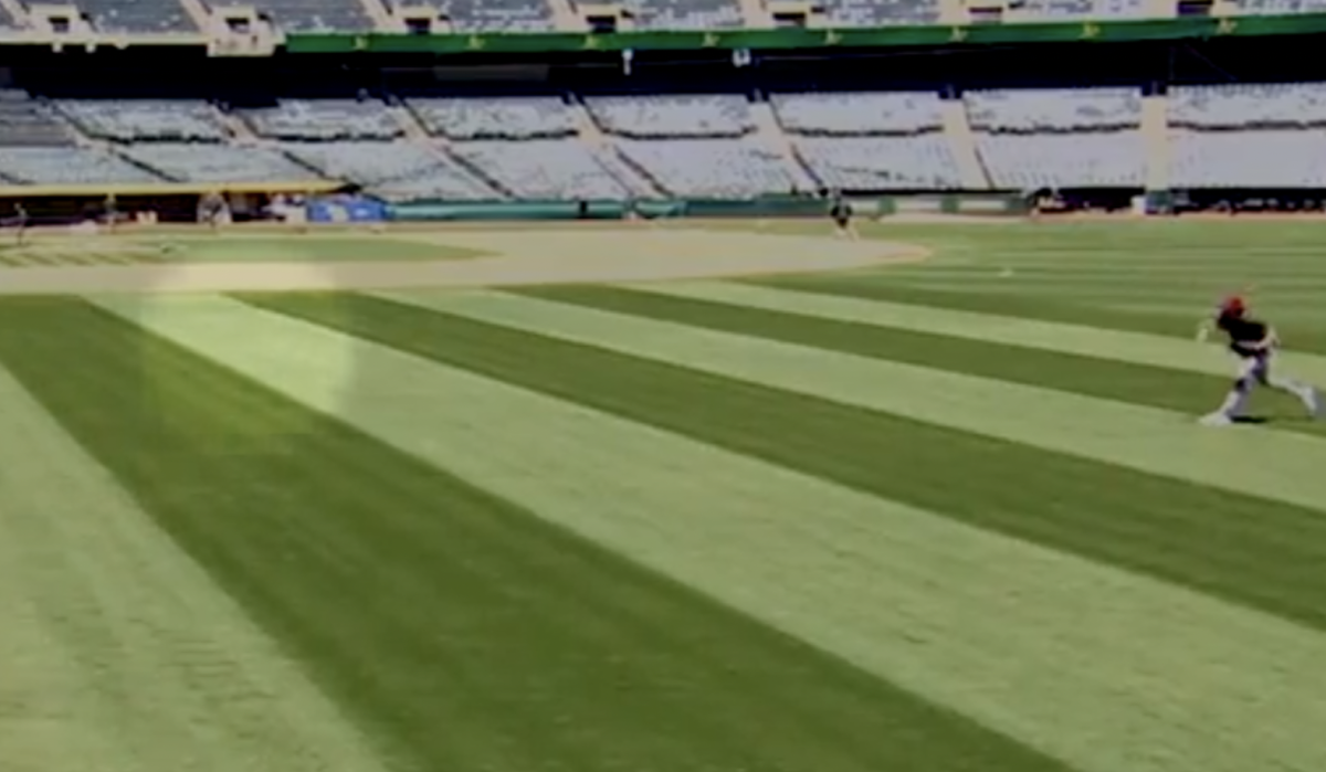 Video MLB Pitcher Hits Bird With A Curveball On Wednesday The Spun