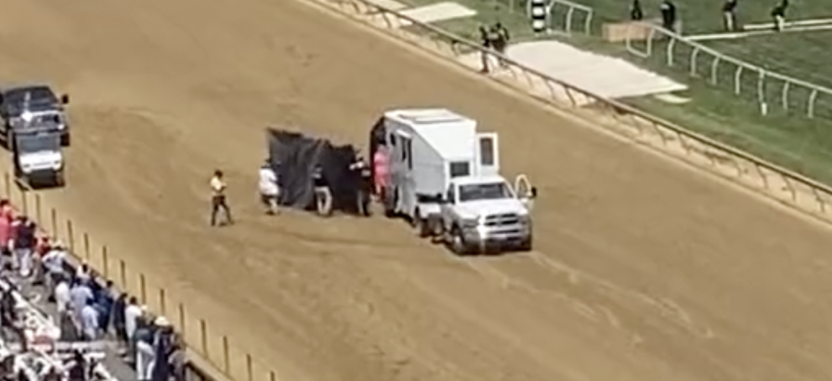 Horse Had To Be Euthanized On Track At Preakness Stakes Today The