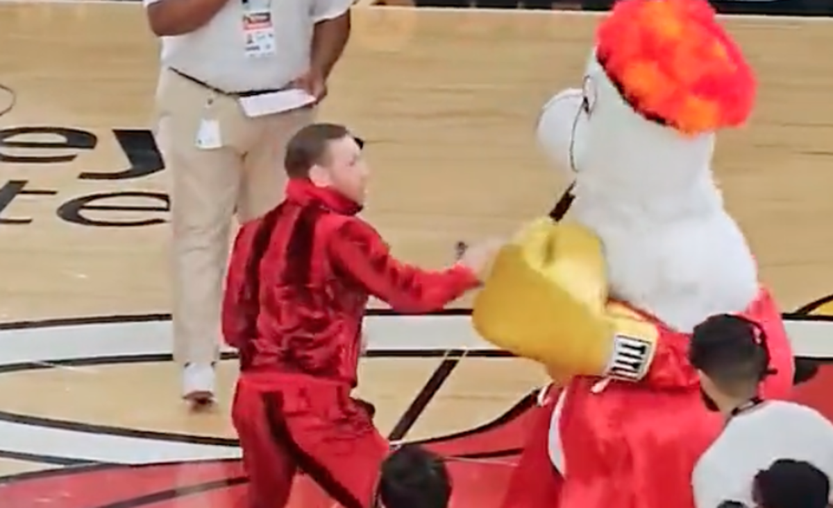 Here's The Conor McGregor Punch That Sent Mascot To Emergency Room ...