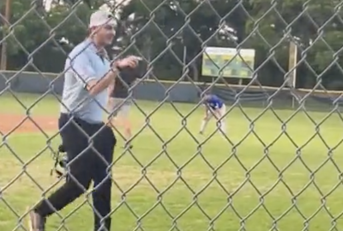 Fans Love What Youth Baseball Umpire Told Annoying Parents The Spun