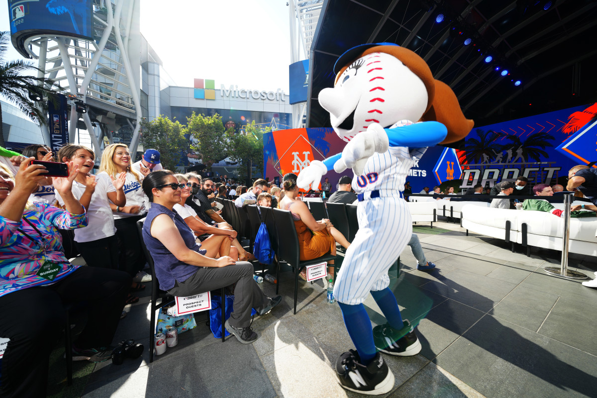 Mrs. Met's rear end: A photographic appreciation 