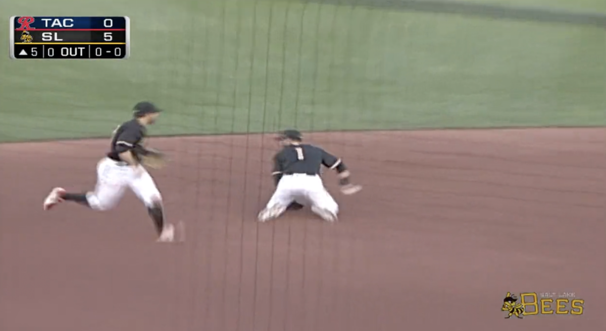 Minor league baseball team makes the play of the year.