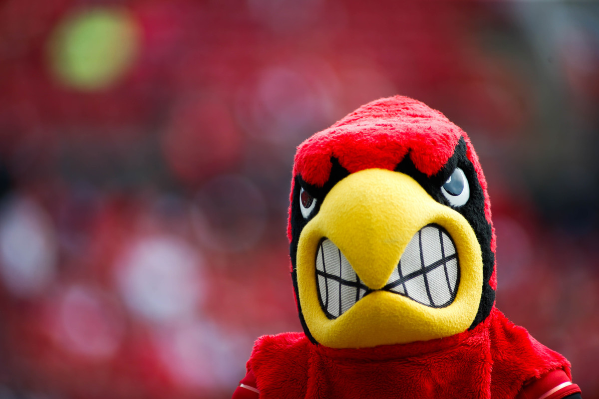 A head shot of a Louisville mascot.
