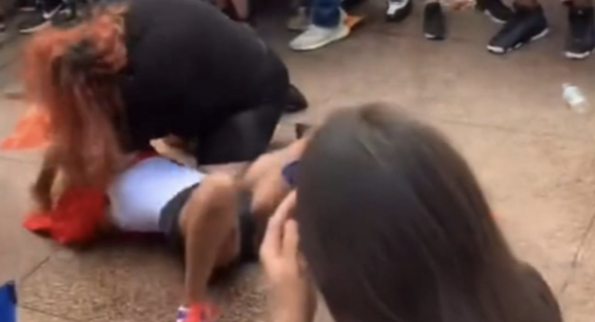 WATCH: Houston Astros fans break into a wild brawl during the World Series  Victory parade