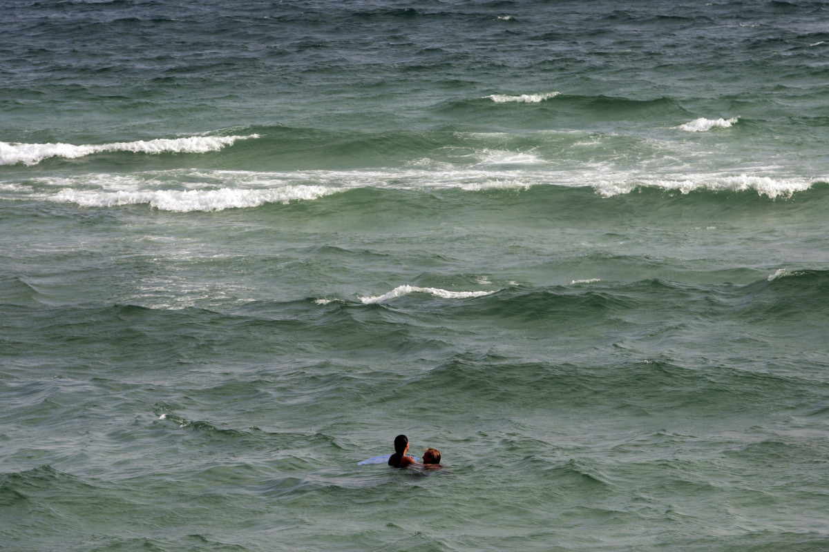 Shark Attacks Beach Goer On Fourth Of July Morning - The Spun