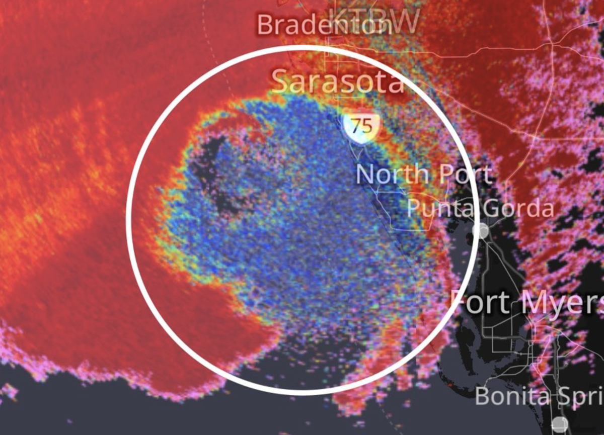 Heartbreaking Graphic Shows What Happened To Birds During Hurricane ...