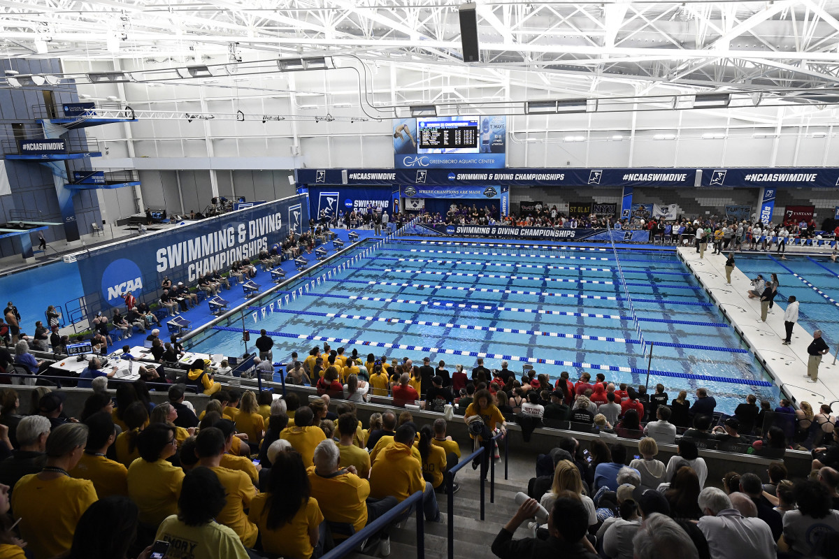 Video: College Swimmer Disqualified From Win After Celebrating With ...