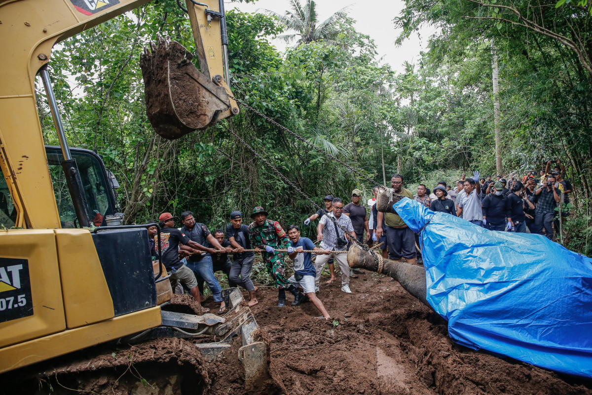 Zoo elephant found dead in Indonesia.