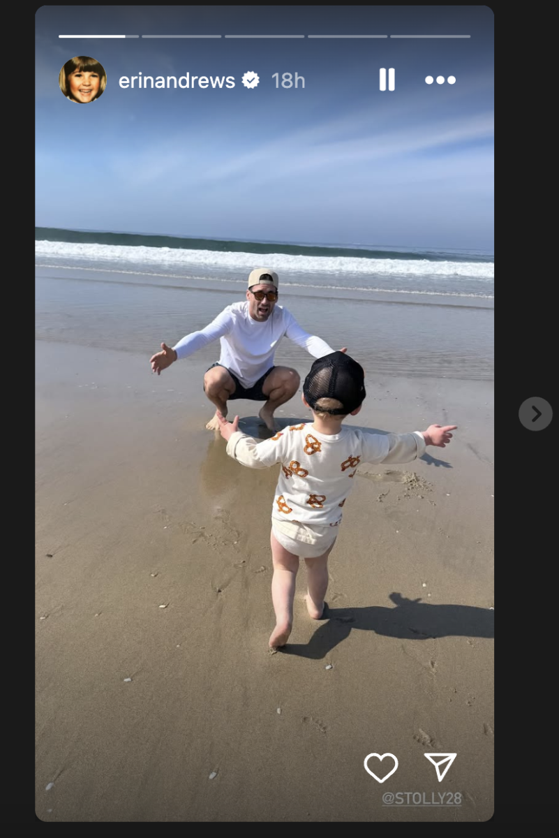 Erin Andrews beach photo.