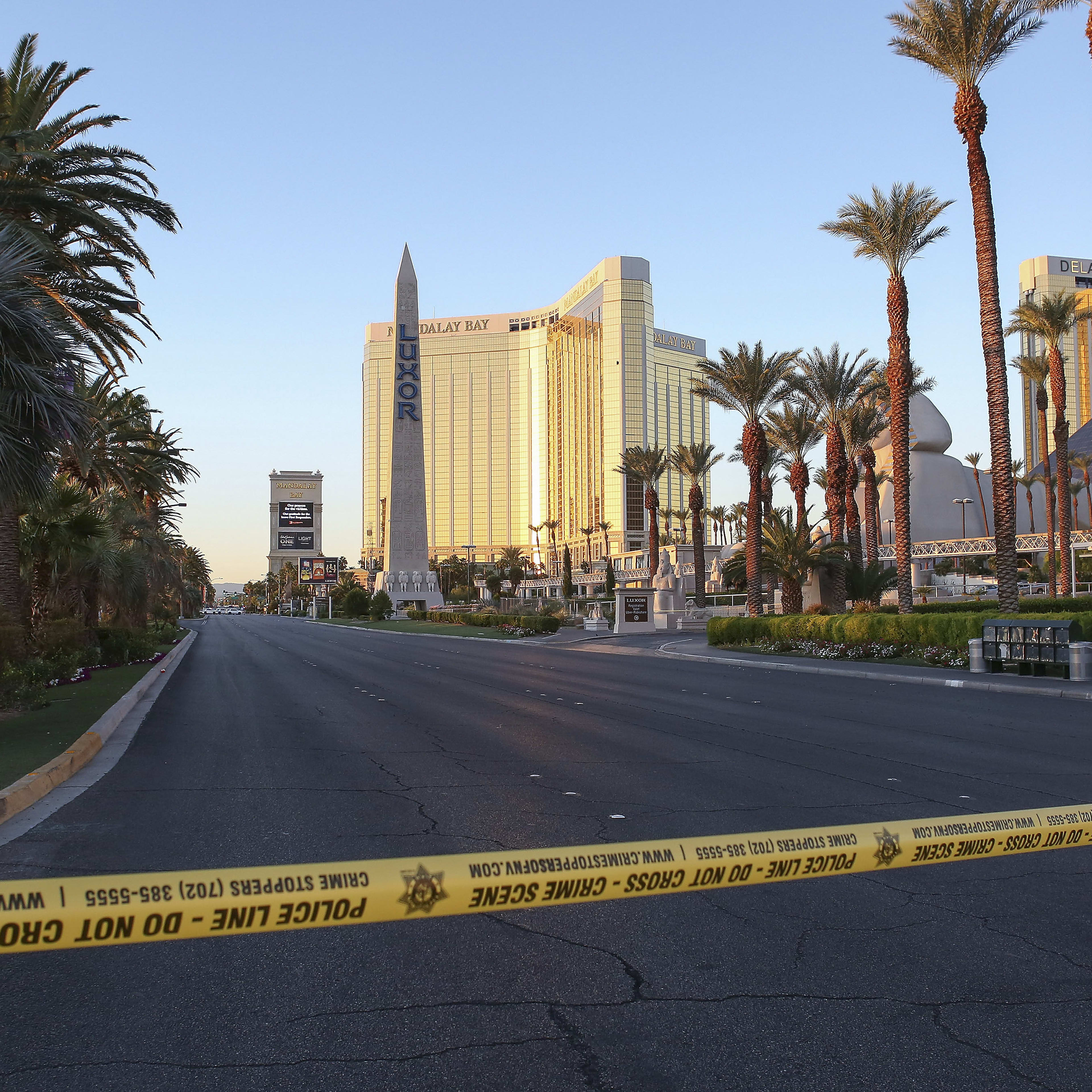 FCC Reaches Final Decision On Bad Bunny's Halftime Show - The Spun